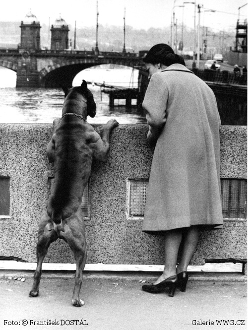 Foto: &copy; František Dostál